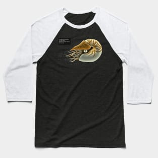 Chambered Nautilus Baseball T-Shirt